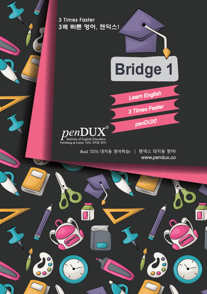 Bridge 100 표지