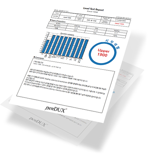 Level Test Report